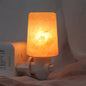 Himalayan Salt Crystal Wall Lamp